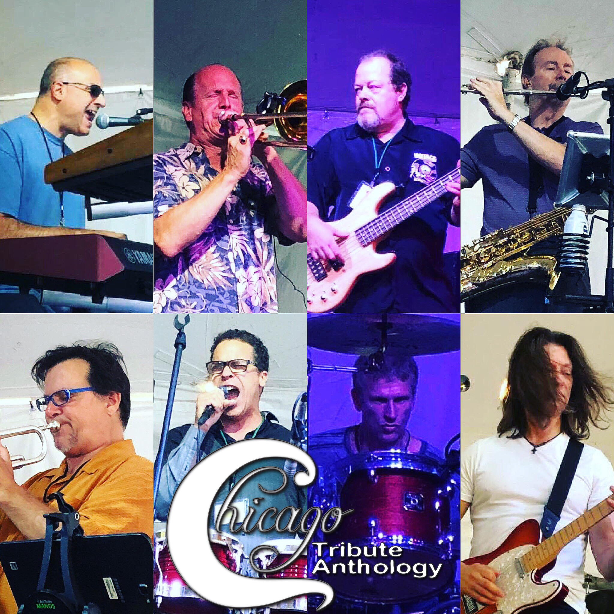 CTA Chicago Tribute Anthology